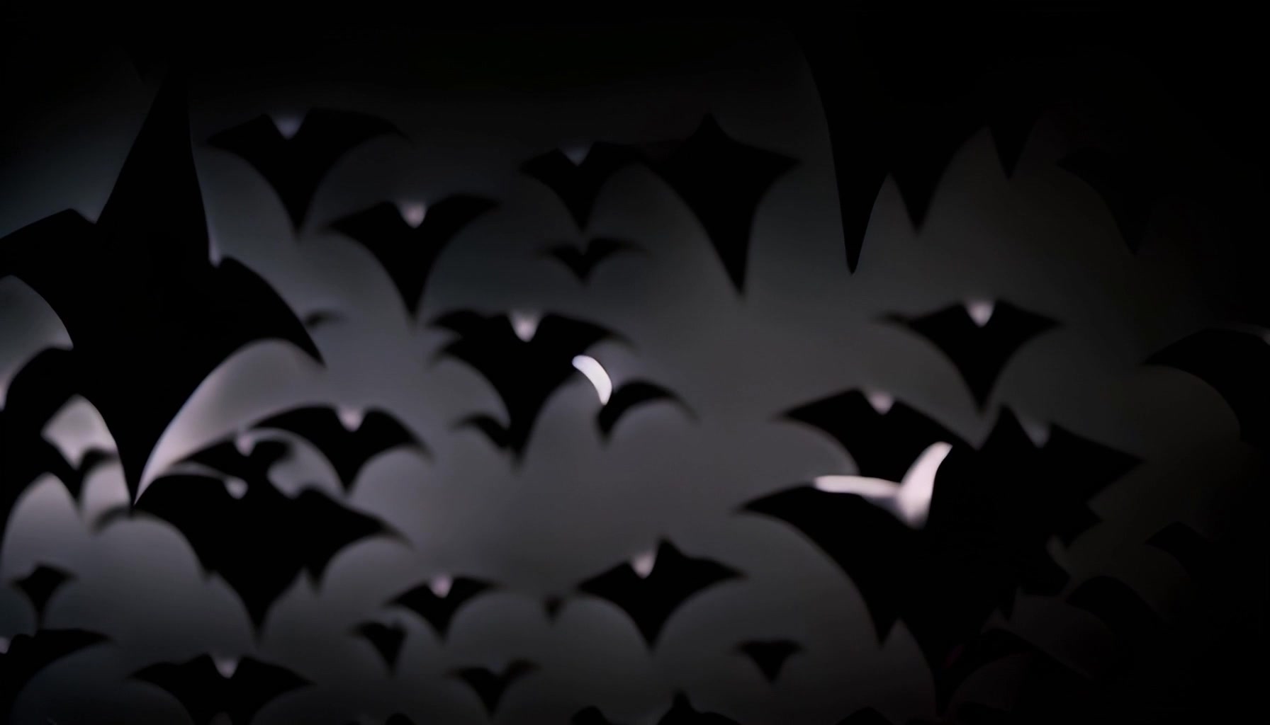 Bat Cloud – Swarming Night Flight – 1080p halloween VJ loop