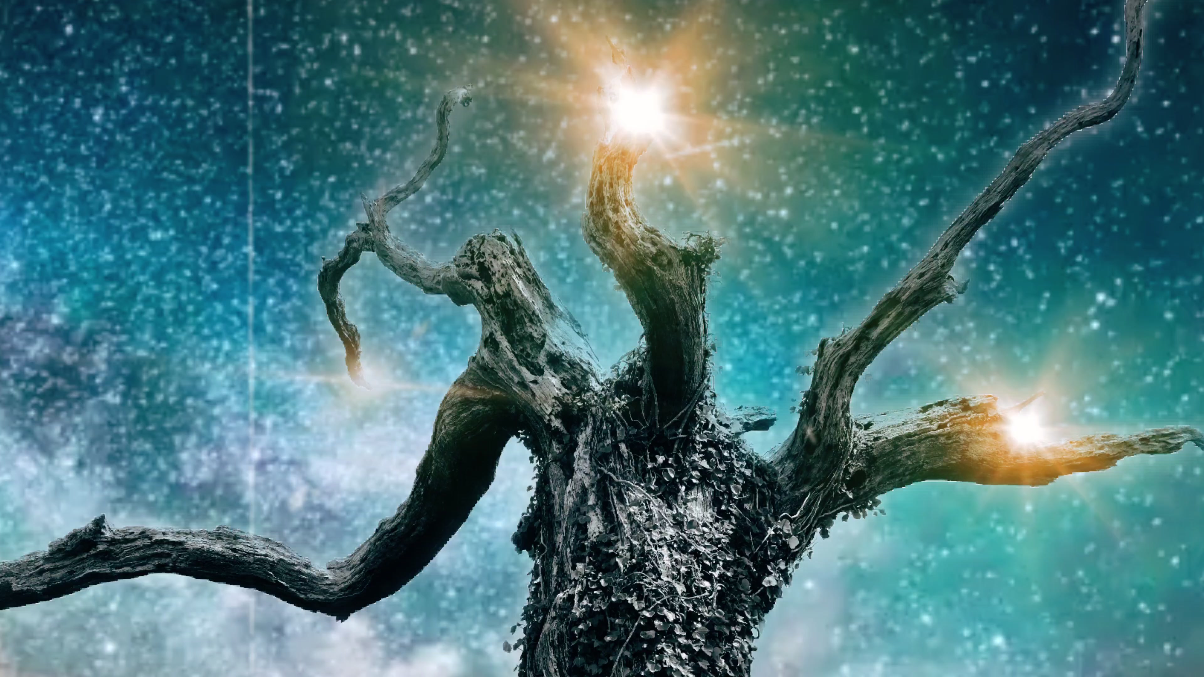 Celestial Tree Glow – 4K nature VJ loop