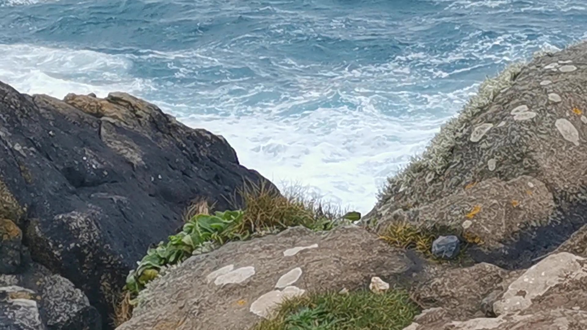 Coastal Serenity Loop — Cliffs – 1080p ocean VJ loop