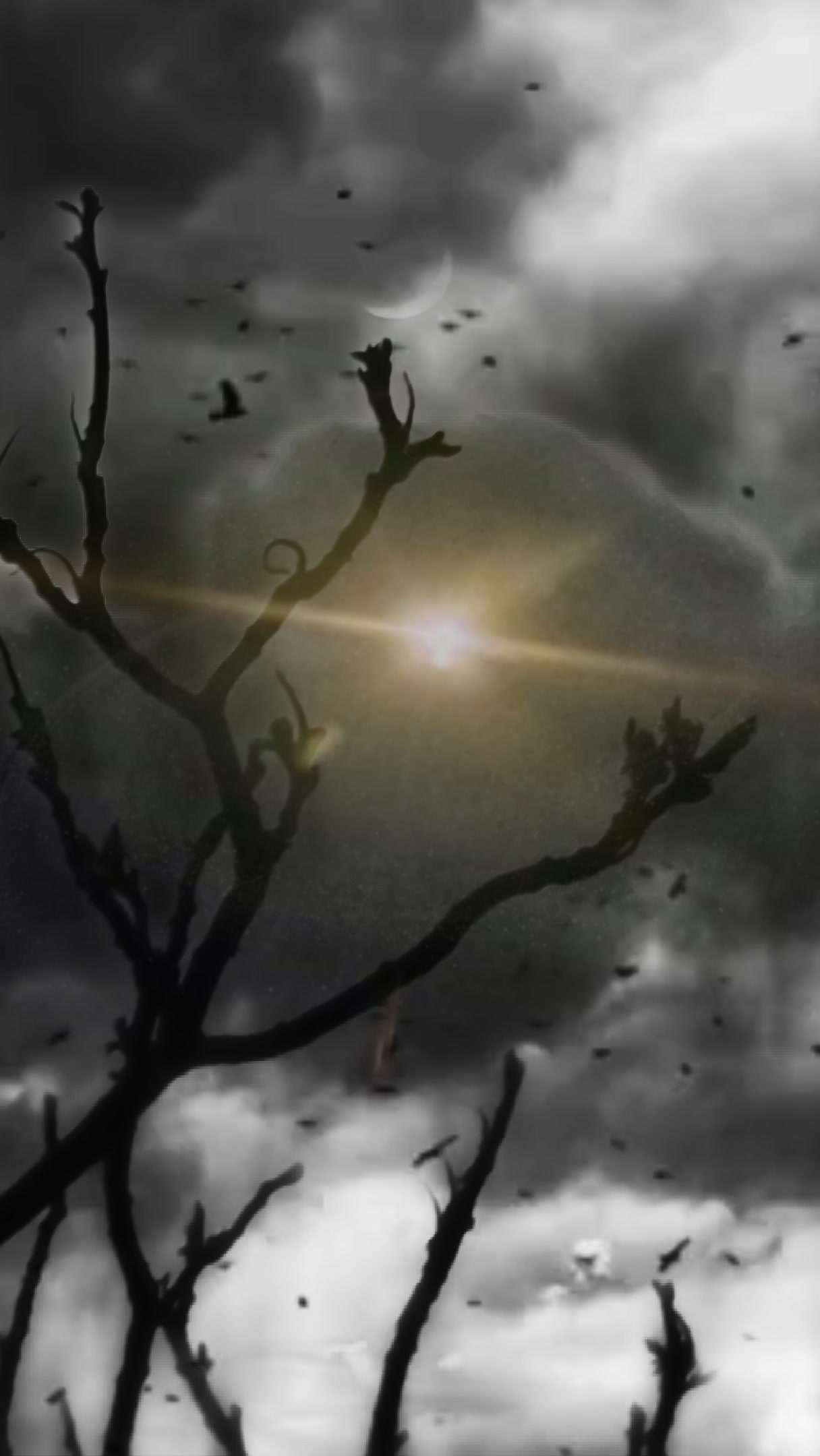 Eclipse of Shadows – HD nature VJ loop