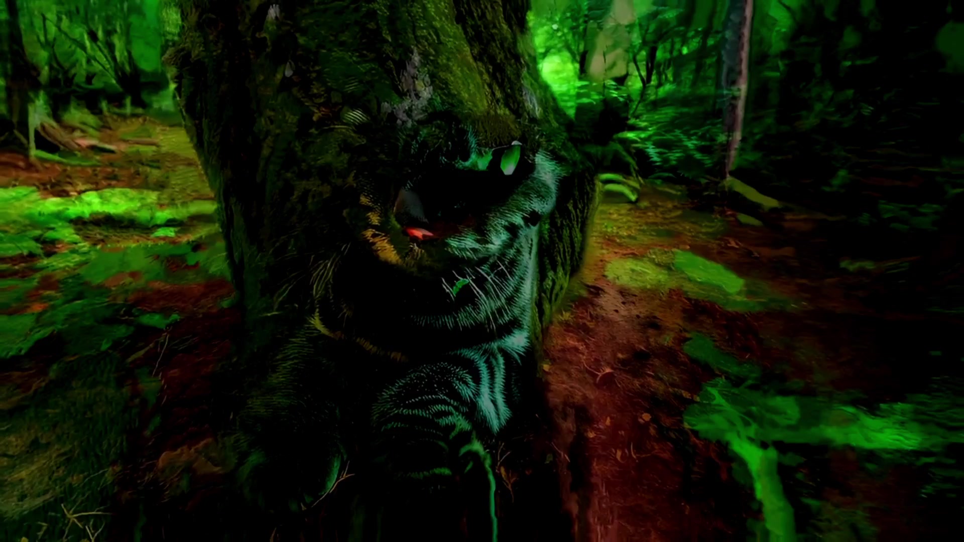 Enchanted Forest Feline – 1080p nature VJ loop