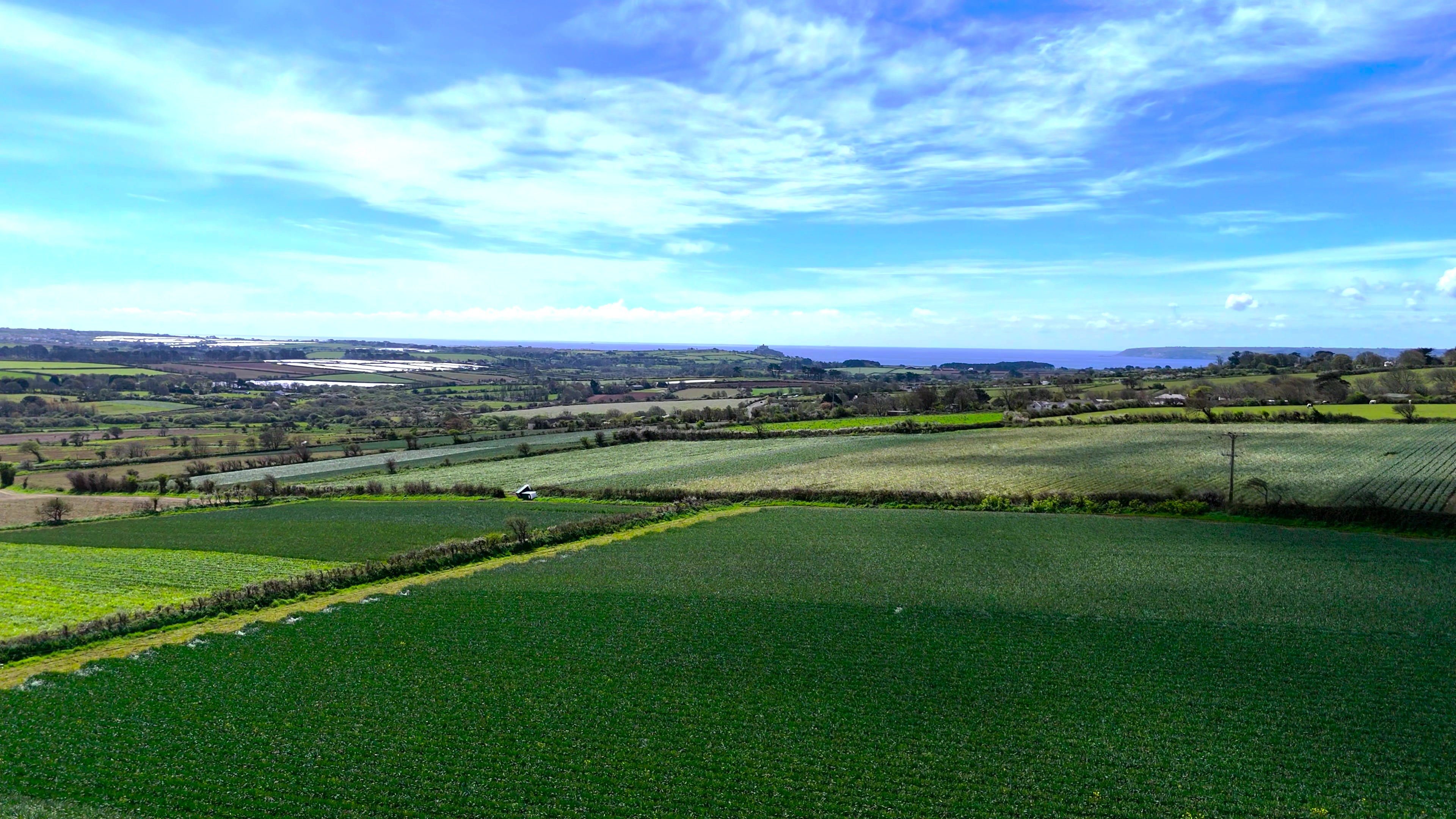 Endless Green Horizon – 4K nature VJ loop