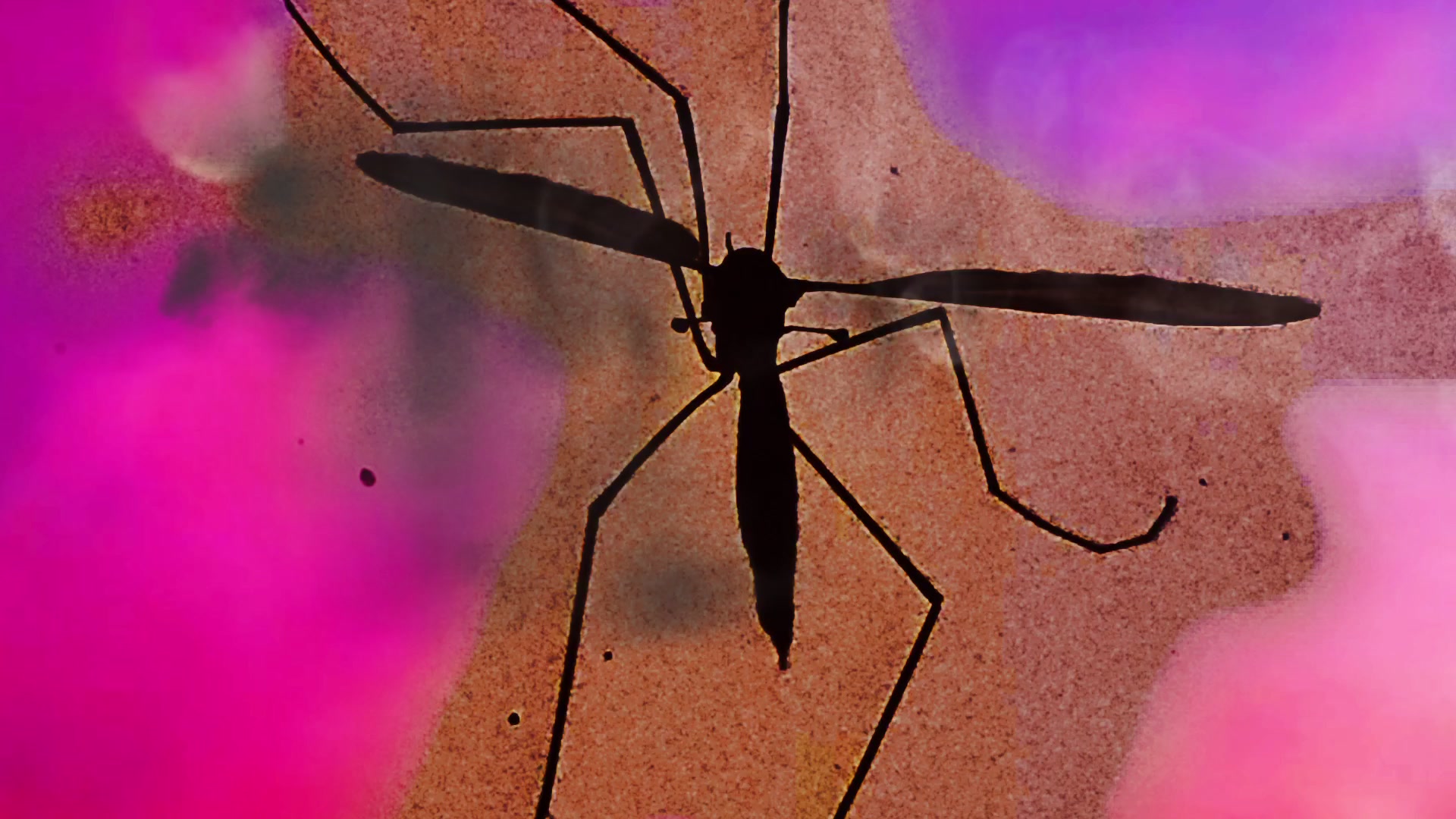 Ethereal Insect Dance – 1080p abstract VJ loop