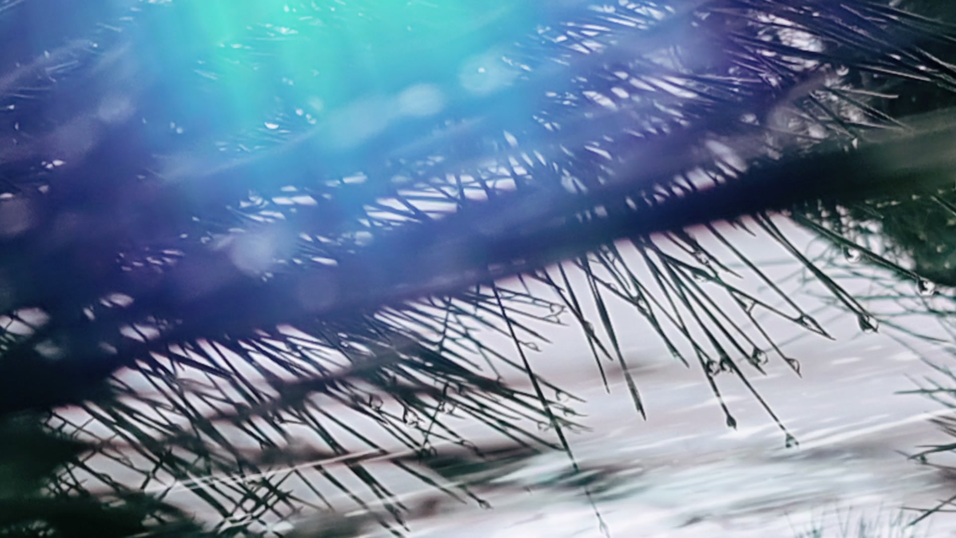 Ethereal Light Dance — Shadows Dreamy – 1080p abstract VJ loop