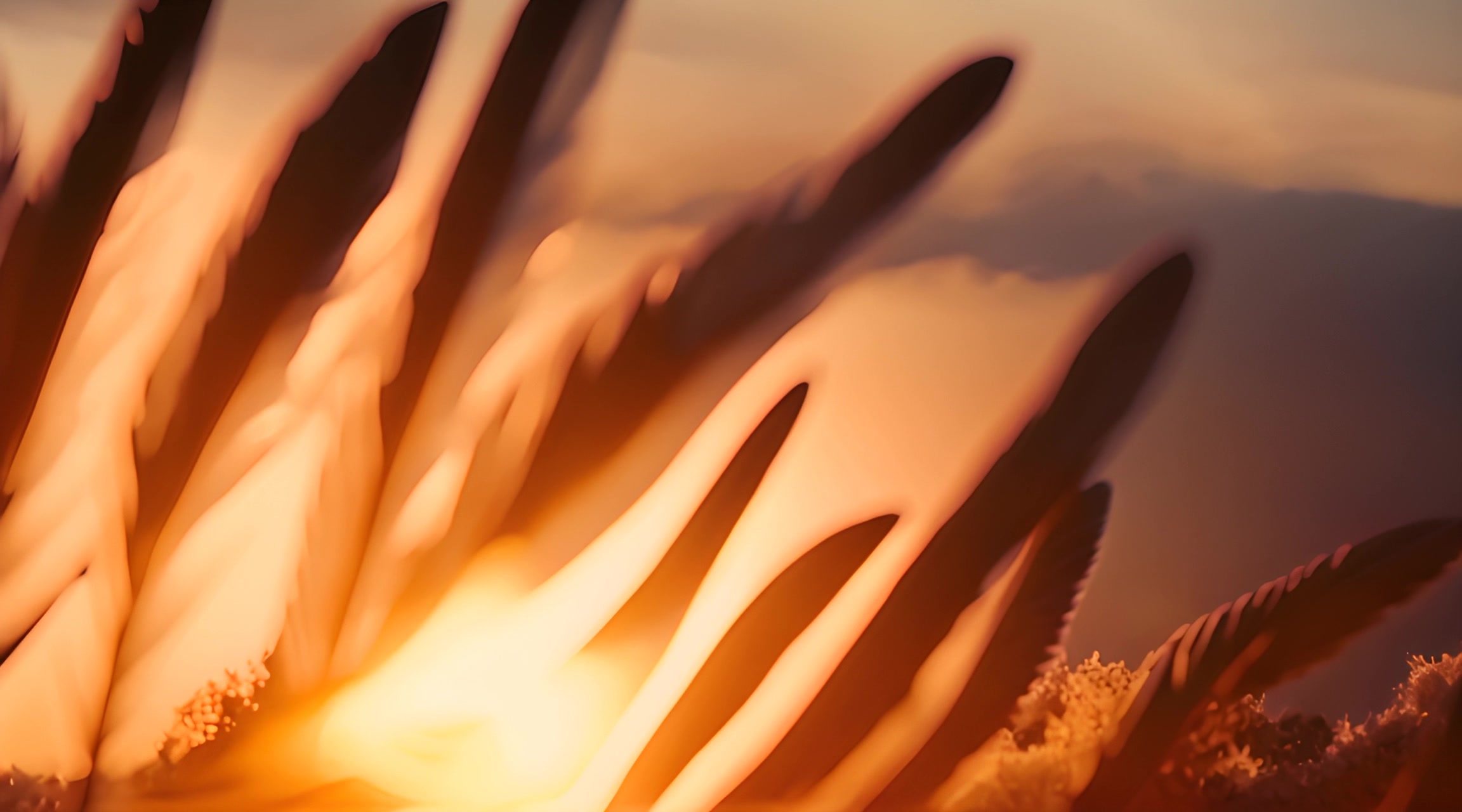 Ethereal Sunset Glow – HD nature VJ loop