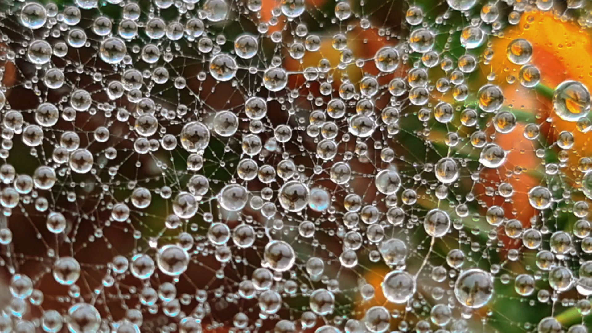 Ethereal Water Dance — Droplets Web – 1080p abstract VJ loop