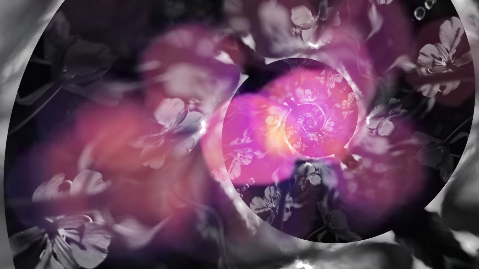 Floral Dream Spiral – 1080p psychedelic VJ loop