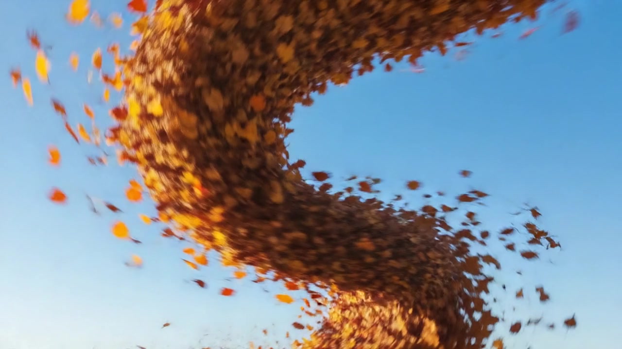 Golden Leaf Cyclone – 720p nature VJ loop