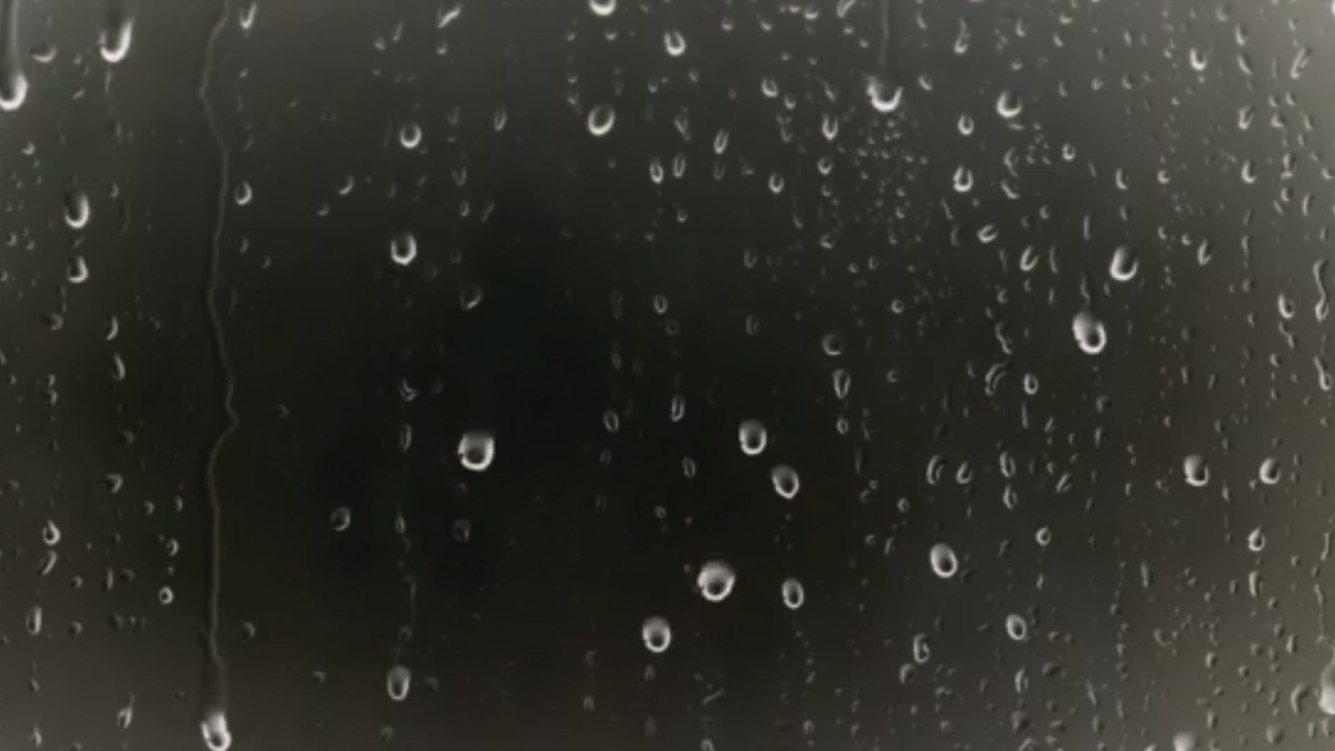 Raindrop Serenity – 1080p nature VJ loop