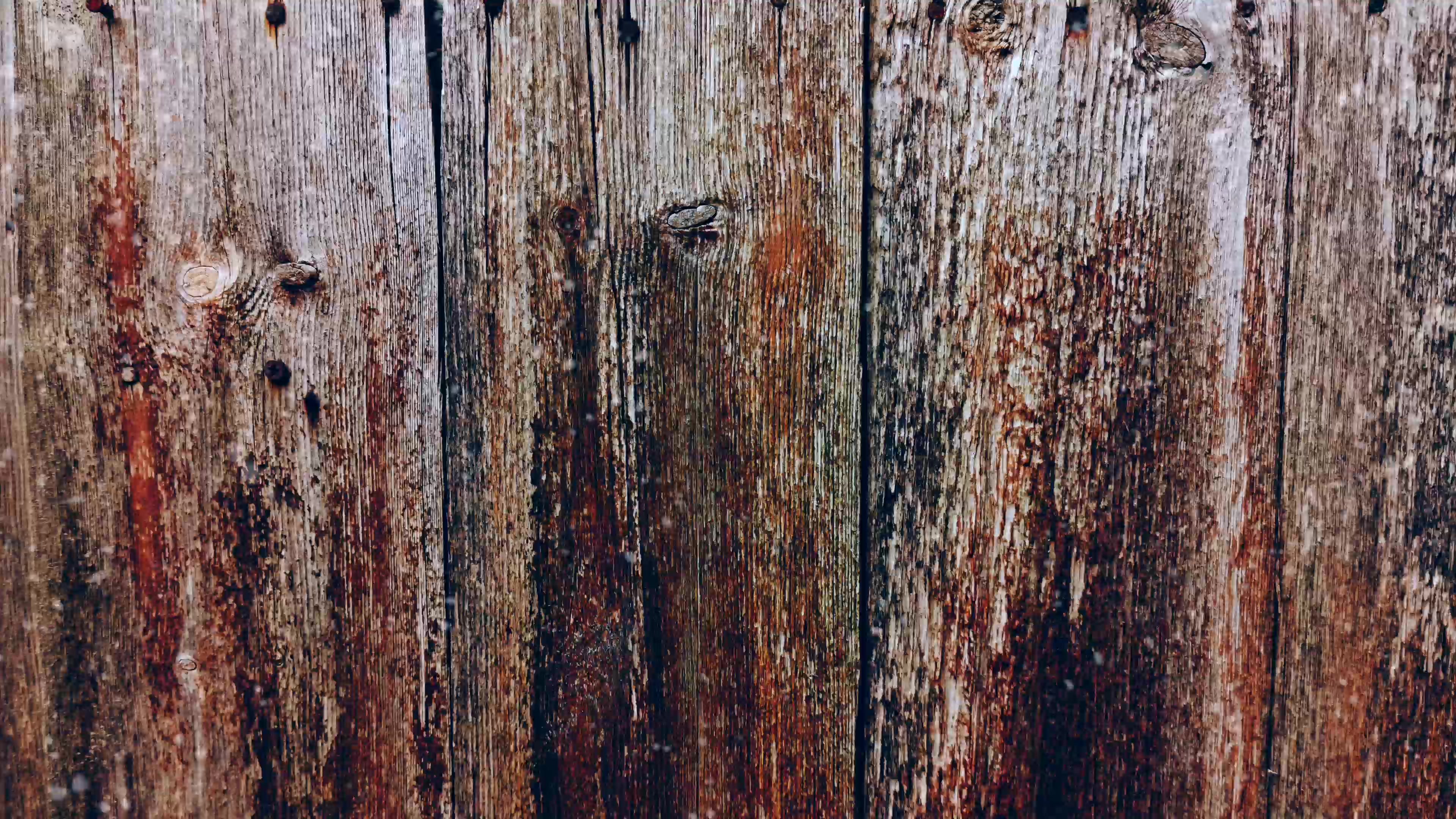 Rustic Rainfall Texture – 4K nature VJ loop