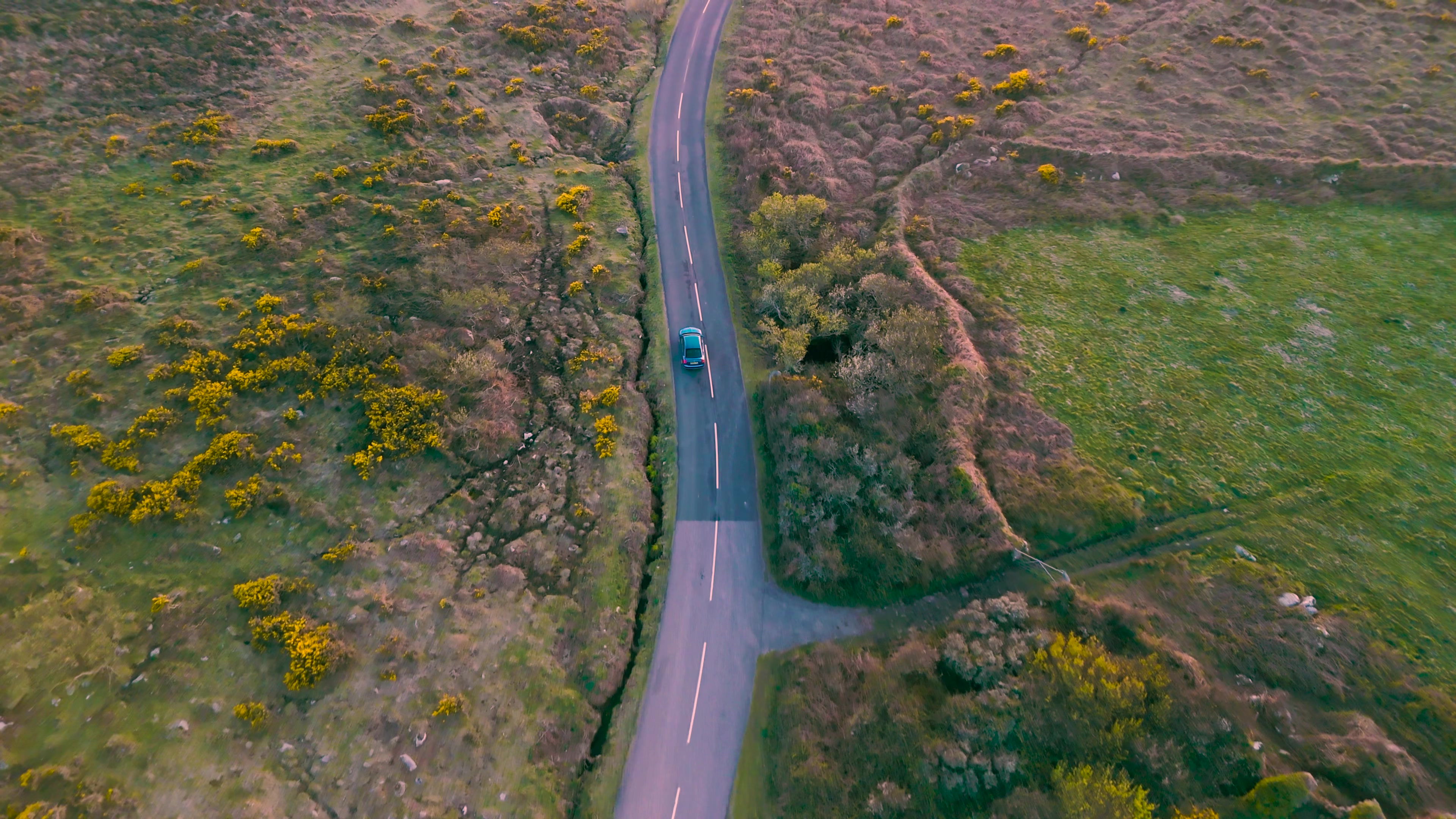 Scenic Road Journey – 4K nature VJ loop