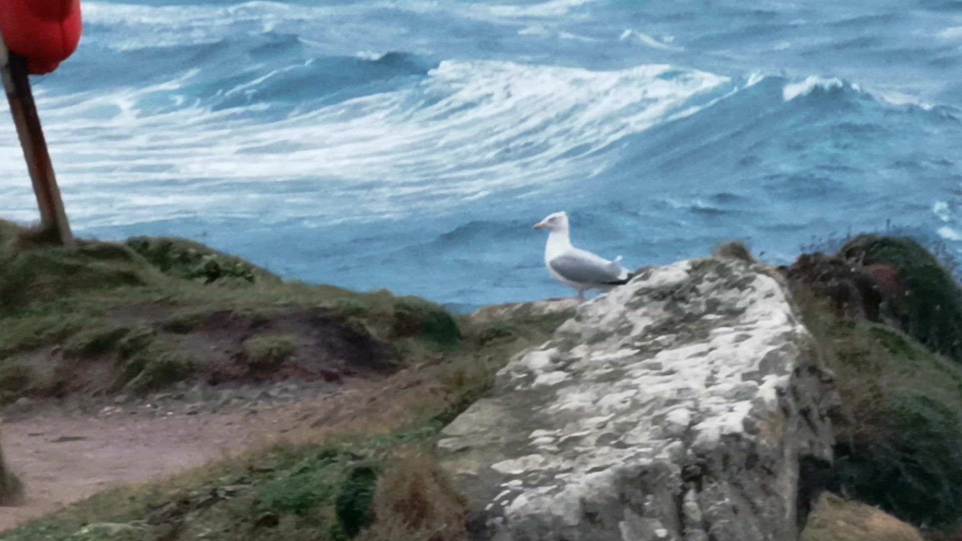 Seaside Serenity Loop – 1080p ocean VJ loop