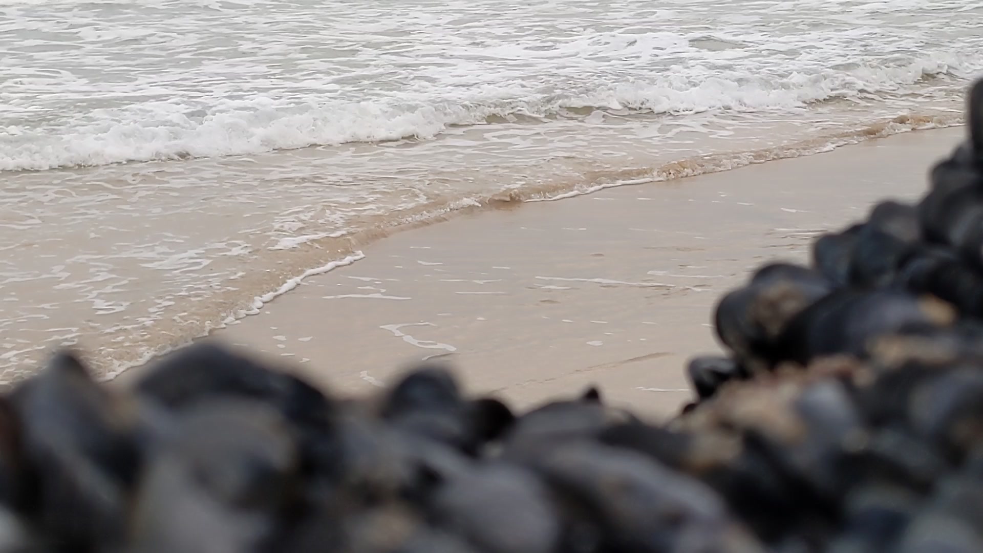 Serene Shoreline Waves — Rocky Shore – 1080p ocean VJ loop