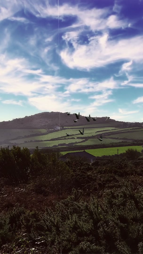Soaring Over Hills – HD nature VJ loop