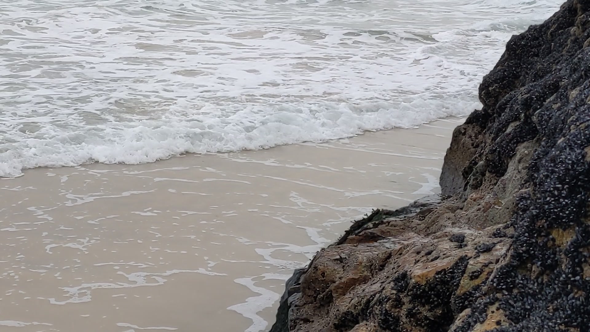 Waves on Rocky Shore — Soothing Relaxation – 1080p ocean VJ loop