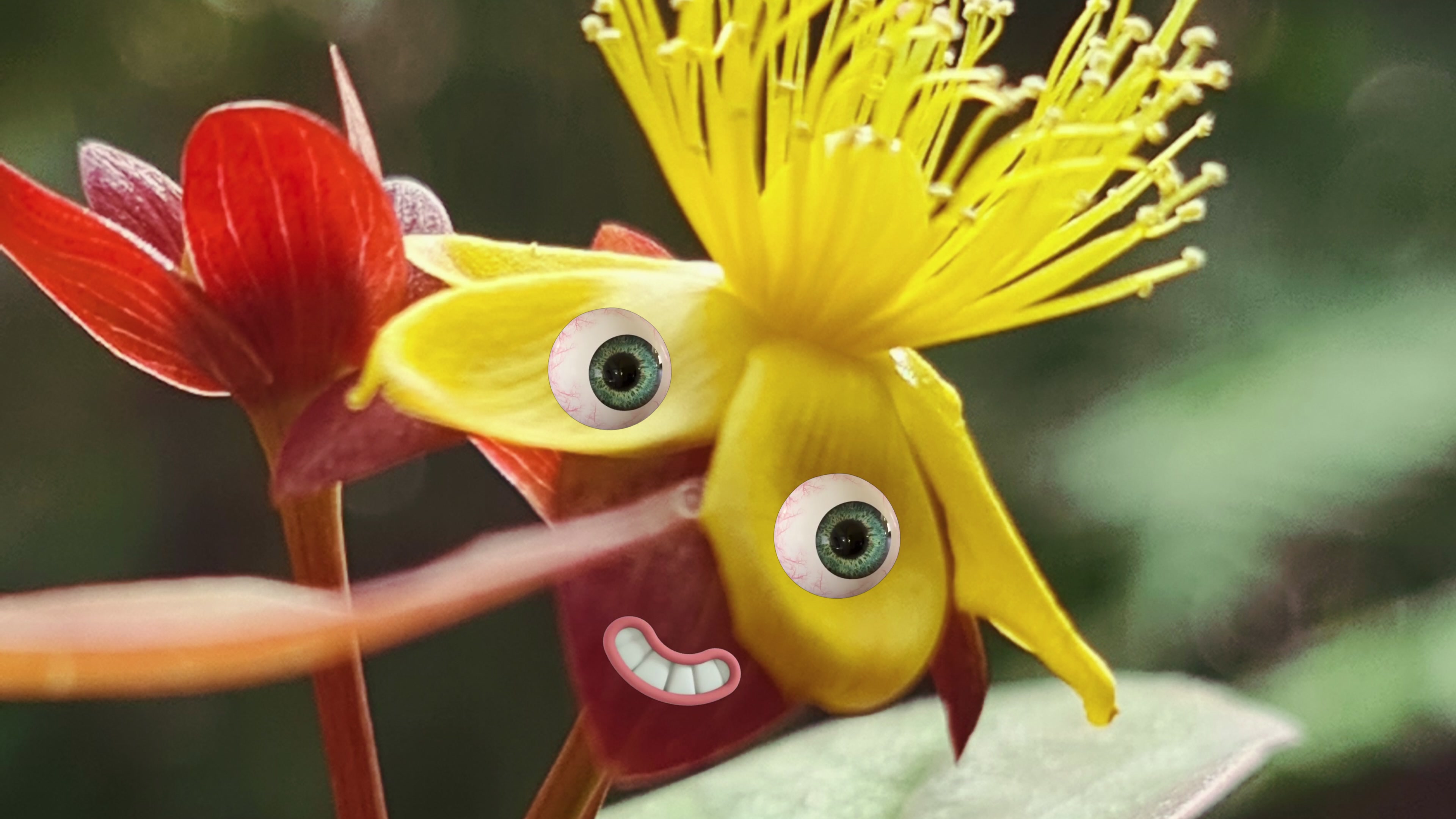 Whimsical Floral Faces – 4K characters & dancers VJ loop